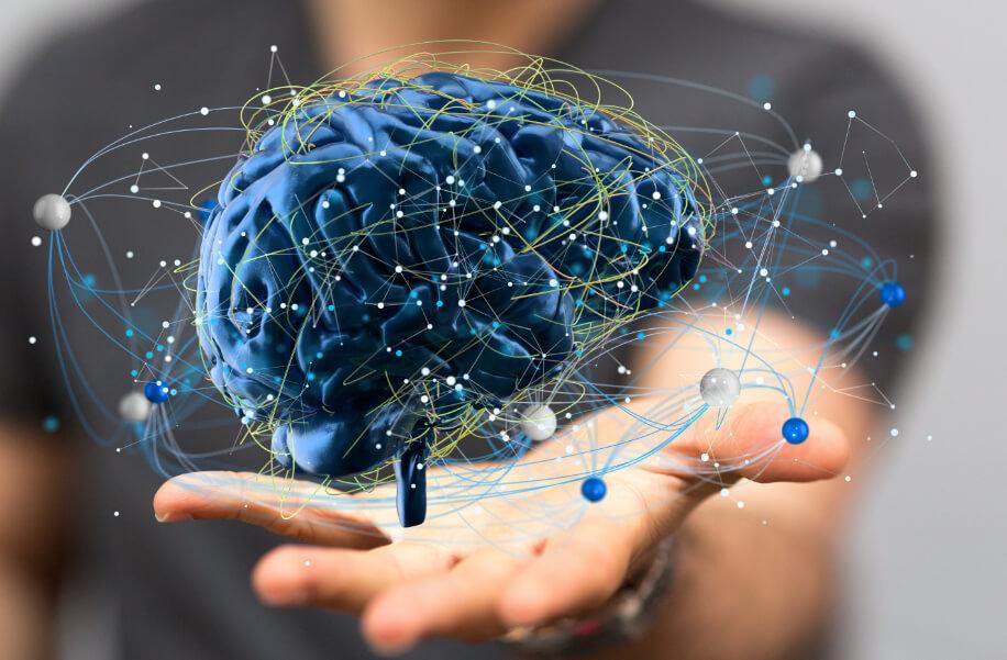 Como seu cérebro influencia o quanto você ganha