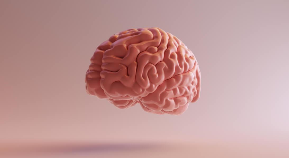 Neuroplasticidade: 7 verdades impactantes reveladas no livro “O Cérebro que se Transforma”