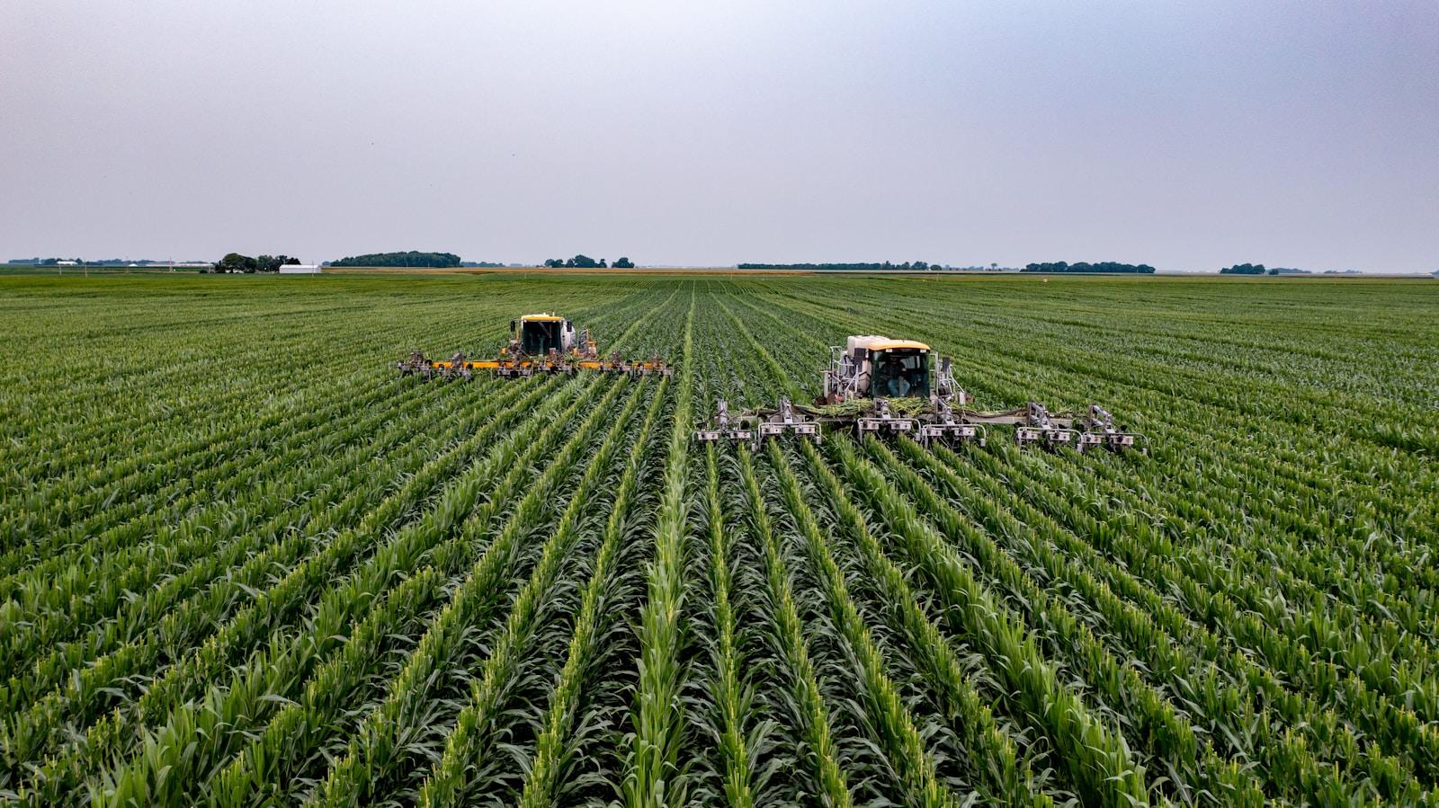 Recuperação Judicial no agronegócio: caminho único ou armadilha disfarçada?
