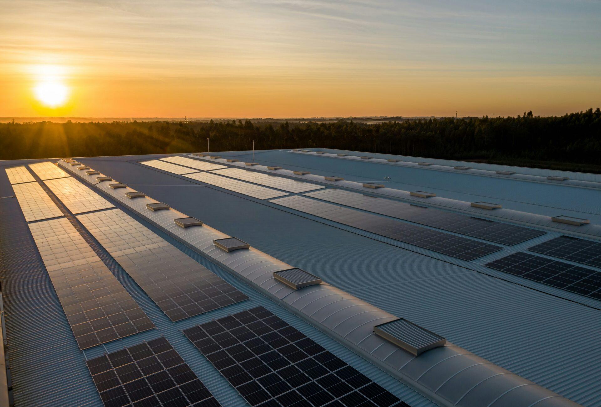 Vendeu muito, faliu rápido: o que o caso emblemático de uma empresa de energia solar no Pará ensina sobre gestão