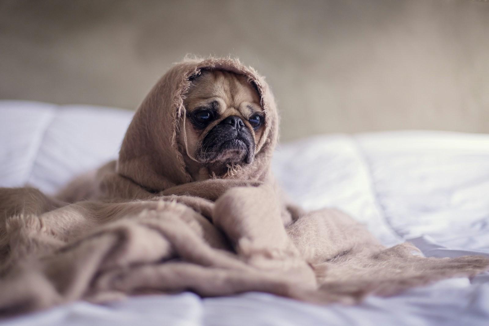 5 verdades sobre a segunda-feira que você precisa saber antes de iniciar a semana, de acordo com a ciência